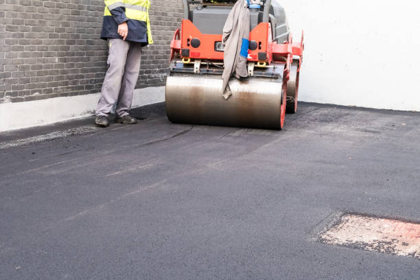 Best Driveway Snow Removal Preparation  in Tyndall Af, FL